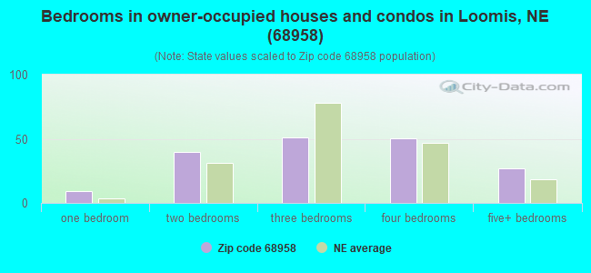 Bedrooms in owner-occupied houses and condos in Loomis, NE (68958) 