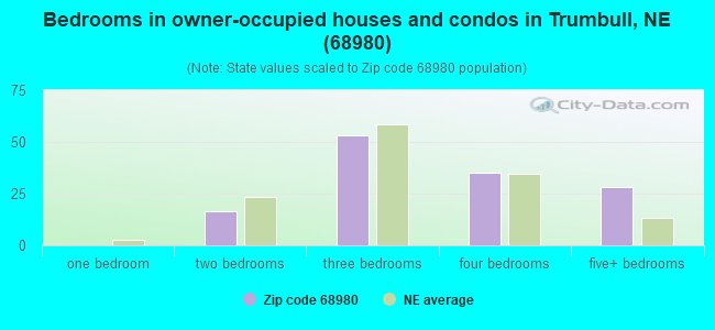 Bedrooms in owner-occupied houses and condos in Trumbull, NE (68980) 