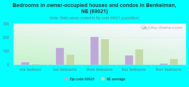 Bedrooms in owner-occupied houses and condos in Benkelman, NE (69021) 