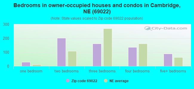 Bedrooms in owner-occupied houses and condos in Cambridge, NE (69022) 