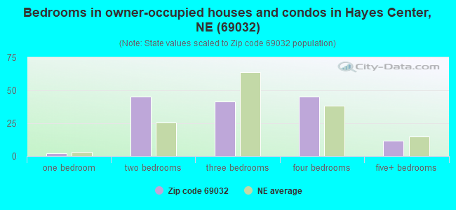 Bedrooms in owner-occupied houses and condos in Hayes Center, NE (69032) 