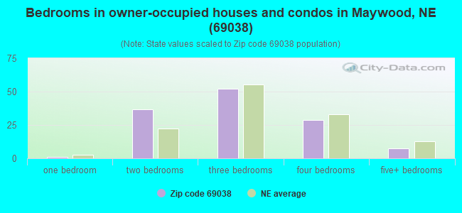Bedrooms in owner-occupied houses and condos in Maywood, NE (69038) 