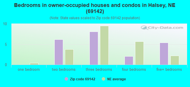 Bedrooms in owner-occupied houses and condos in Halsey, NE (69142) 