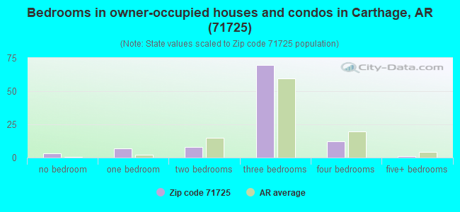 Bedrooms in owner-occupied houses and condos in Carthage, AR (71725) 