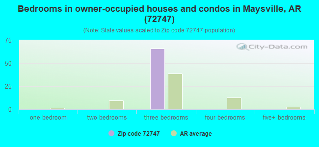 Bedrooms in owner-occupied houses and condos in Maysville, AR (72747) 