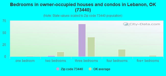 Bedrooms in owner-occupied houses and condos in Lebanon, OK (73440) 