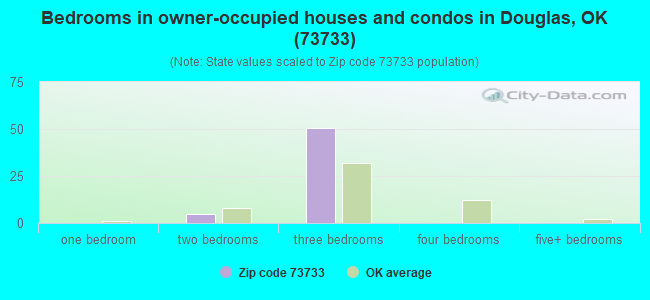 Bedrooms in owner-occupied houses and condos in Douglas, OK (73733) 