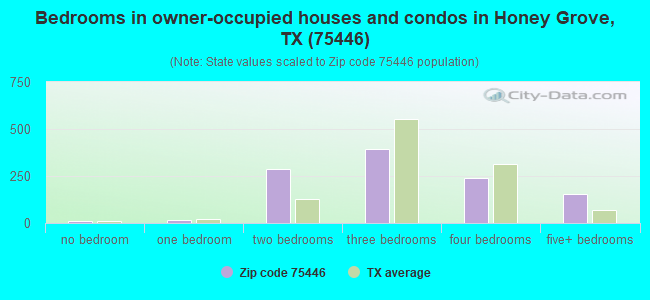 Bedrooms in owner-occupied houses and condos in Honey Grove, TX (75446) 