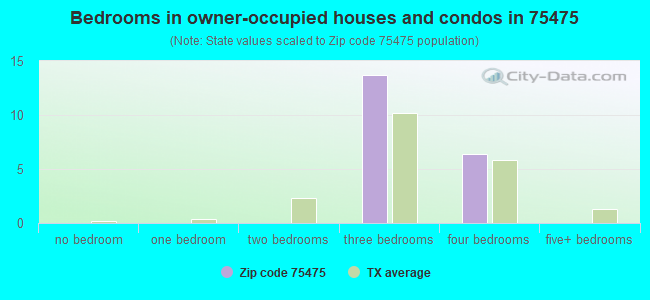 Bedrooms in owner-occupied houses and condos in 75475 