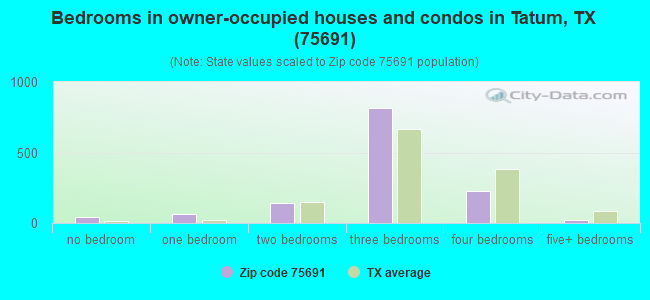 Bedrooms in owner-occupied houses and condos in Tatum, TX (75691) 
