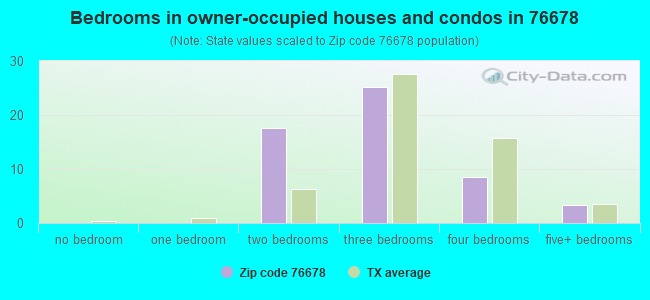 Bedrooms in owner-occupied houses and condos in 76678 
