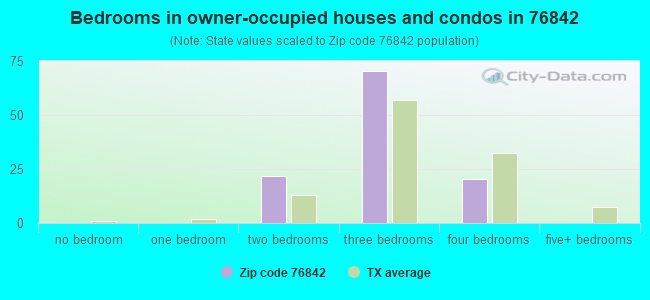 Bedrooms in owner-occupied houses and condos in 76842 