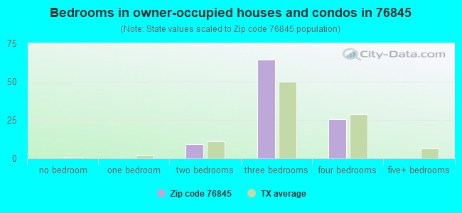 Bedrooms in owner-occupied houses and condos in 76845 