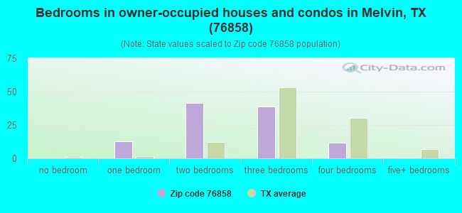 Bedrooms in owner-occupied houses and condos in Melvin, TX (76858) 