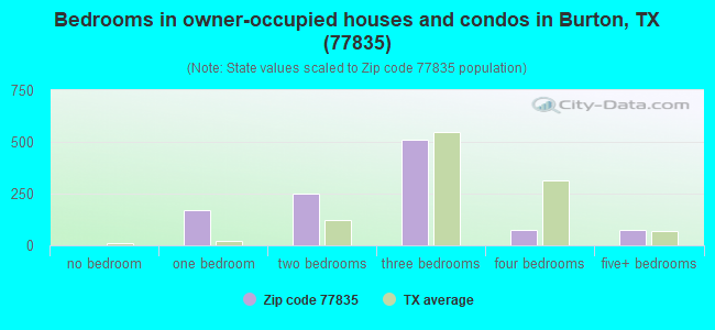 Bedrooms in owner-occupied houses and condos in Burton, TX (77835) 