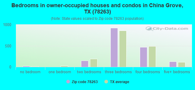 Bedrooms in owner-occupied houses and condos in China Grove, TX (78263) 