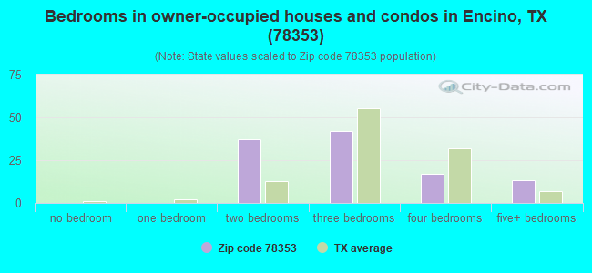Bedrooms in owner-occupied houses and condos in Encino, TX (78353) 