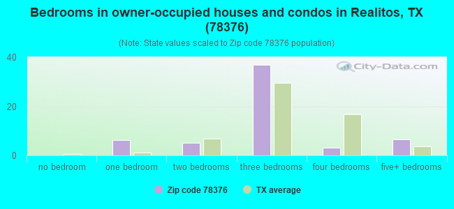 Bedrooms in owner-occupied houses and condos in Realitos, TX (78376) 