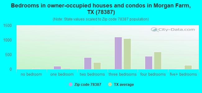Bedrooms in owner-occupied houses and condos in Morgan Farm, TX (78387) 