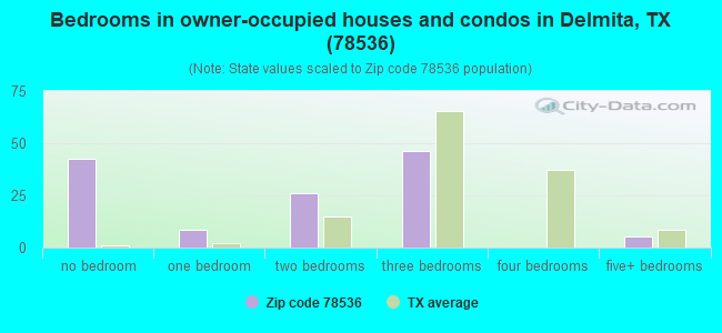 Bedrooms in owner-occupied houses and condos in Delmita, TX (78536) 