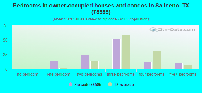 Bedrooms in owner-occupied houses and condos in Salineno, TX (78585) 