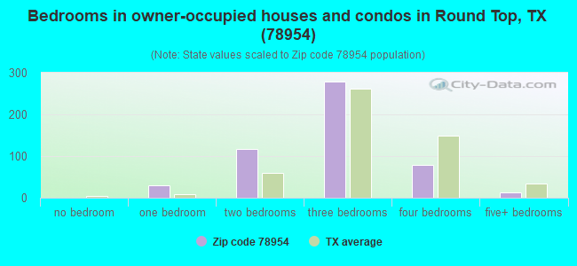 Bedrooms in owner-occupied houses and condos in Round Top, TX (78954) 