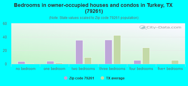 Bedrooms in owner-occupied houses and condos in Turkey, TX (79261) 