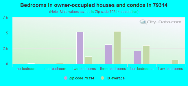 Bedrooms in owner-occupied houses and condos in 79314 