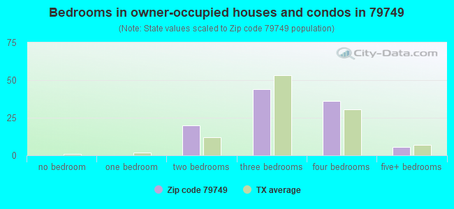 Bedrooms in owner-occupied houses and condos in 79749 