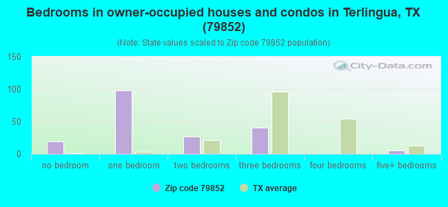 Bedrooms in owner-occupied houses and condos in Terlingua, TX (79852) 
