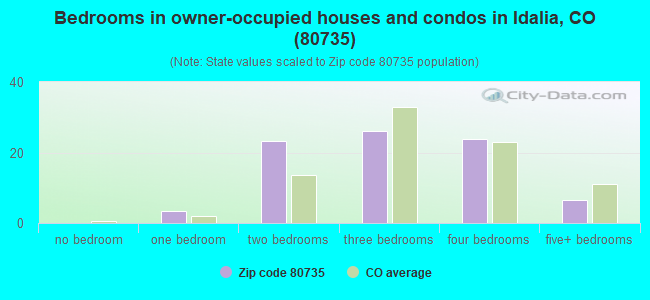 Bedrooms in owner-occupied houses and condos in Idalia, CO (80735) 