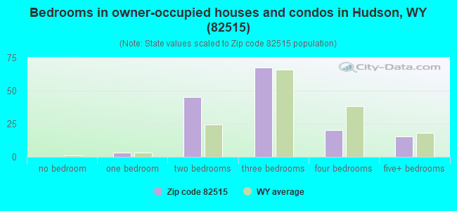 Bedrooms in owner-occupied houses and condos in Hudson, WY (82515) 