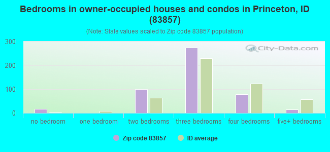 Bedrooms in owner-occupied houses and condos in Princeton, ID (83857) 