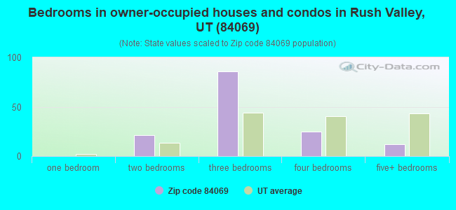 Bedrooms in owner-occupied houses and condos in Rush Valley, UT (84069) 