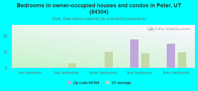 Bedrooms in owner-occupied houses and condos in Peter, UT (84304) 