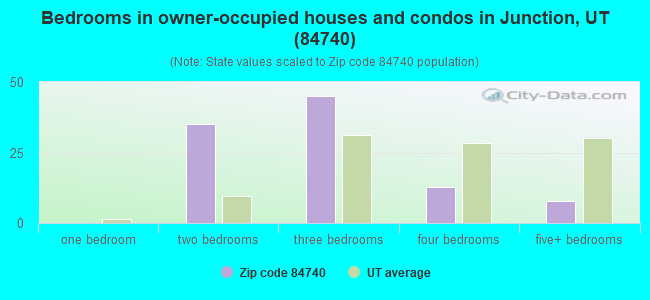 Bedrooms in owner-occupied houses and condos in Junction, UT (84740) 