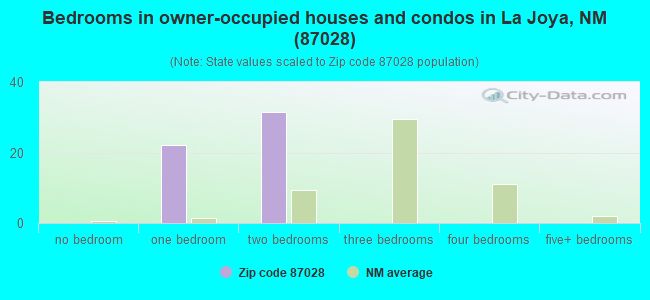 Bedrooms in owner-occupied houses and condos in La Joya, NM (87028) 