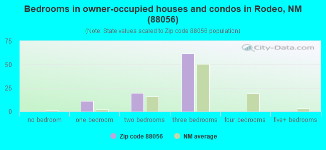 Bedrooms in owner-occupied houses and condos in Rodeo, NM (88056) 