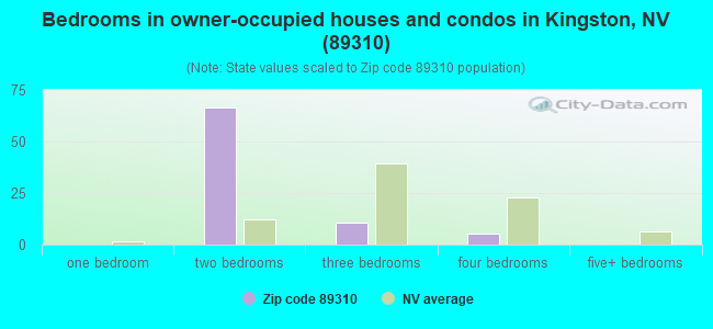 Bedrooms in owner-occupied houses and condos in Kingston, NV (89310) 