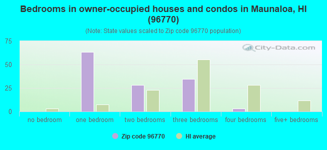 Bedrooms in owner-occupied houses and condos in Maunaloa, HI (96770) 