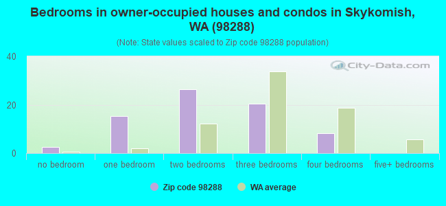 Bedrooms in owner-occupied houses and condos in Skykomish, WA (98288) 