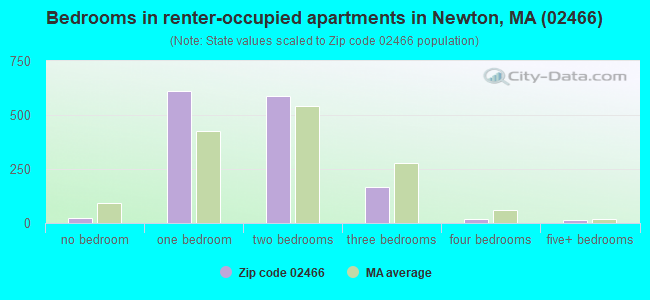 Bedrooms in renter-occupied apartments in Newton, MA (02466) 