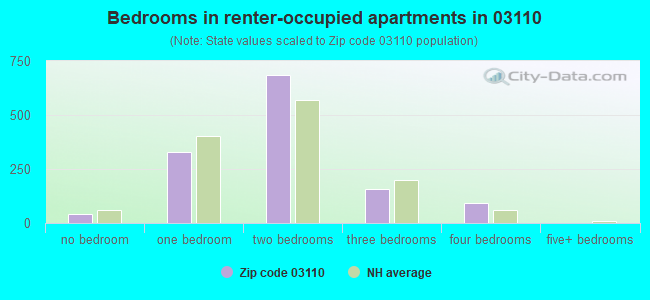 Bedrooms in renter-occupied apartments in 03110 