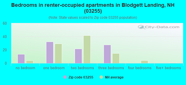 Bedrooms in renter-occupied apartments in Blodgett Landing, NH (03255) 