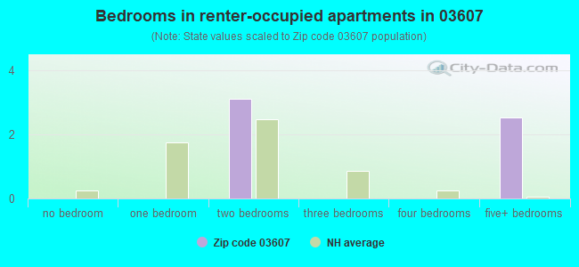 Bedrooms in renter-occupied apartments in 03607 