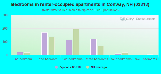 Bedrooms in renter-occupied apartments in Conway, NH (03818) 