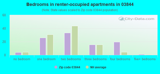 Bedrooms in renter-occupied apartments in 03844 