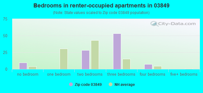 Bedrooms in renter-occupied apartments in 03849 