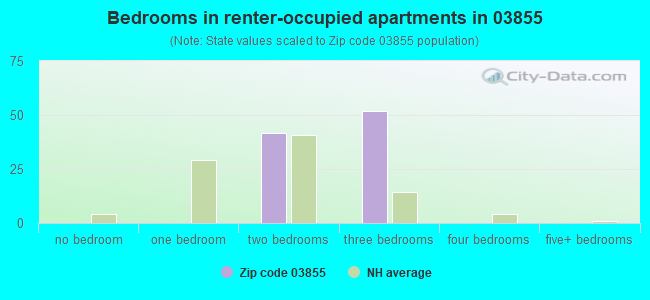 Bedrooms in renter-occupied apartments in 03855 
