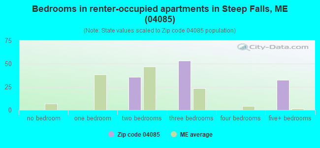 Bedrooms in renter-occupied apartments in Steep Falls, ME (04085) 